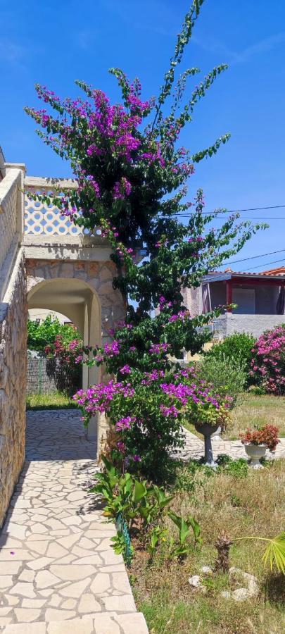 Villa Kadinela, 200M From Kamenjak, Huge Quiet Garden With Barbecue, 2 New Kitchens Premantura Εξωτερικό φωτογραφία