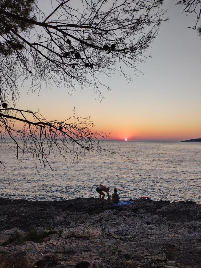 Villa Kadinela, 200M From Kamenjak, Huge Quiet Garden With Barbecue, 2 New Kitchens Premantura Εξωτερικό φωτογραφία