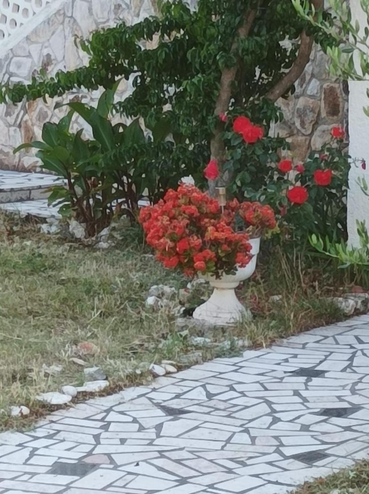 Villa Kadinela, 200M From Kamenjak, Huge Quiet Garden With Barbecue, 2 New Kitchens Premantura Εξωτερικό φωτογραφία